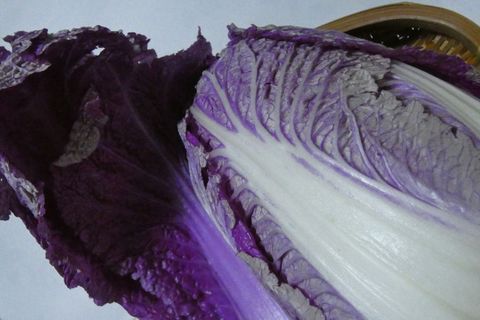 ３白菜紫.JPG